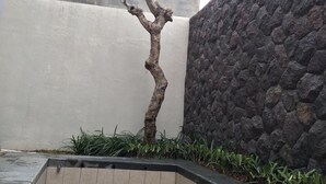 A tree with green leaves and pink flowers in a stone-lined planter. - The Villaku Batu (Batu)