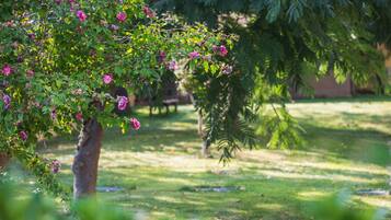 บริเวณที่พัก