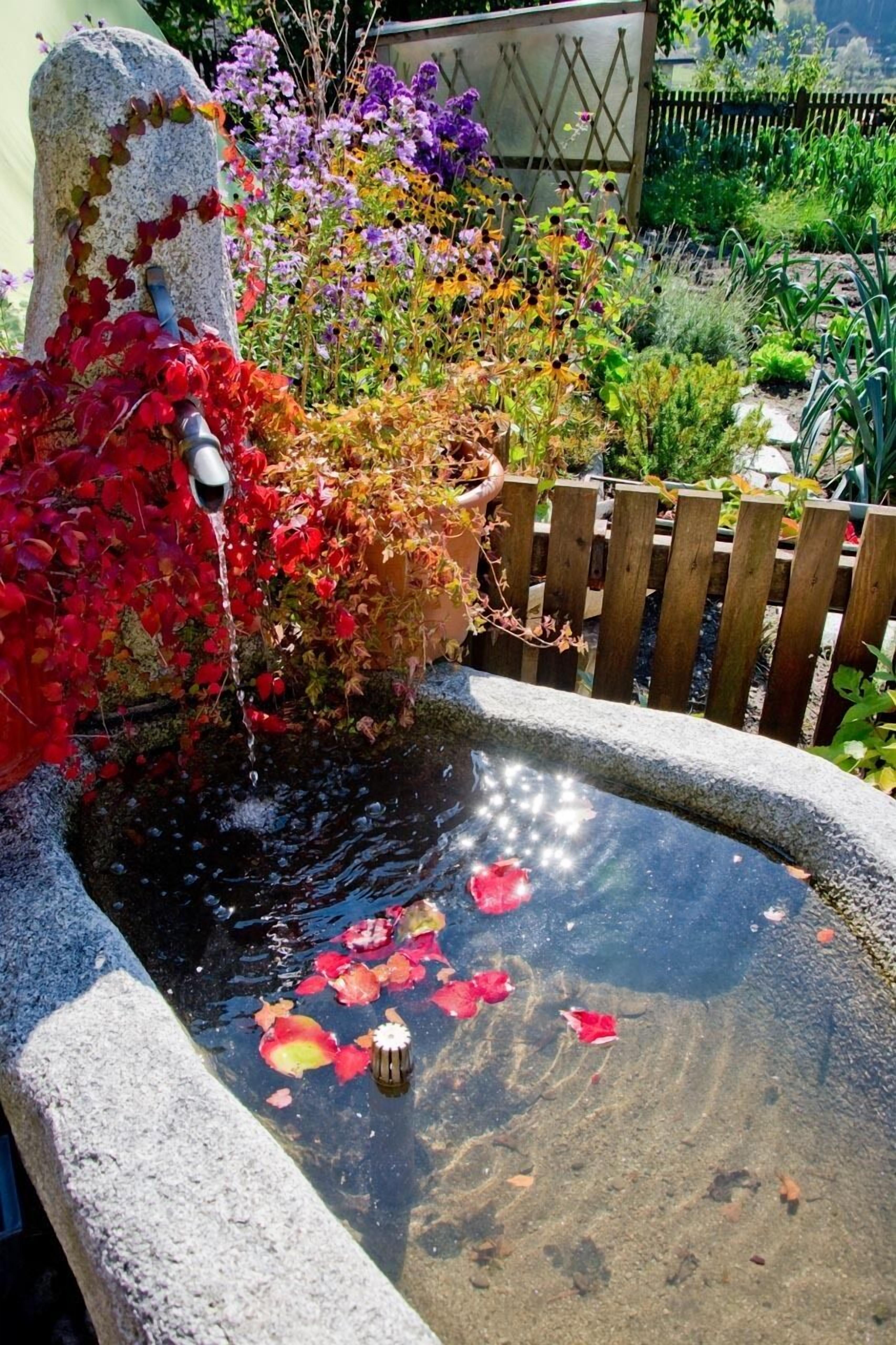 A garden with a stone fountain, surrounded by a wooden fence and various plants.