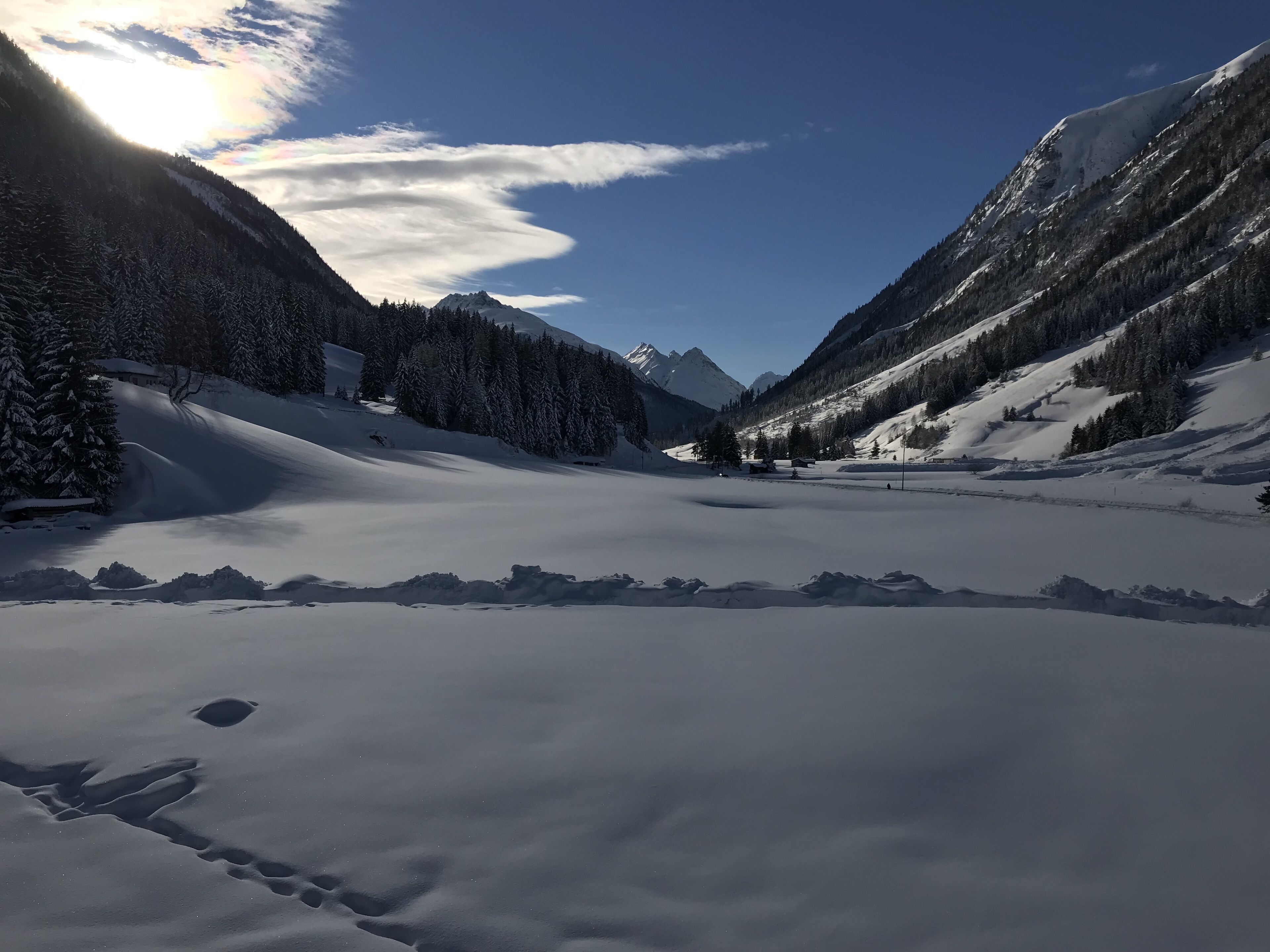 Une vallée enneigée, avec des montagnes, des arbres et un ciel dégagé.