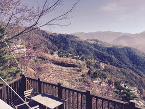 Standard-Vierbettzimmer | Blick auf die Berge