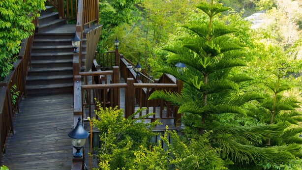 Una escalera de madera que sube a una terraza de madera rodeada de abundante vegetación.