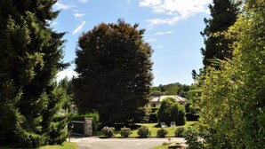 A residential area with a large tree, a paved driveway, and a house in the background. - Hotel Premeno (Premeno)