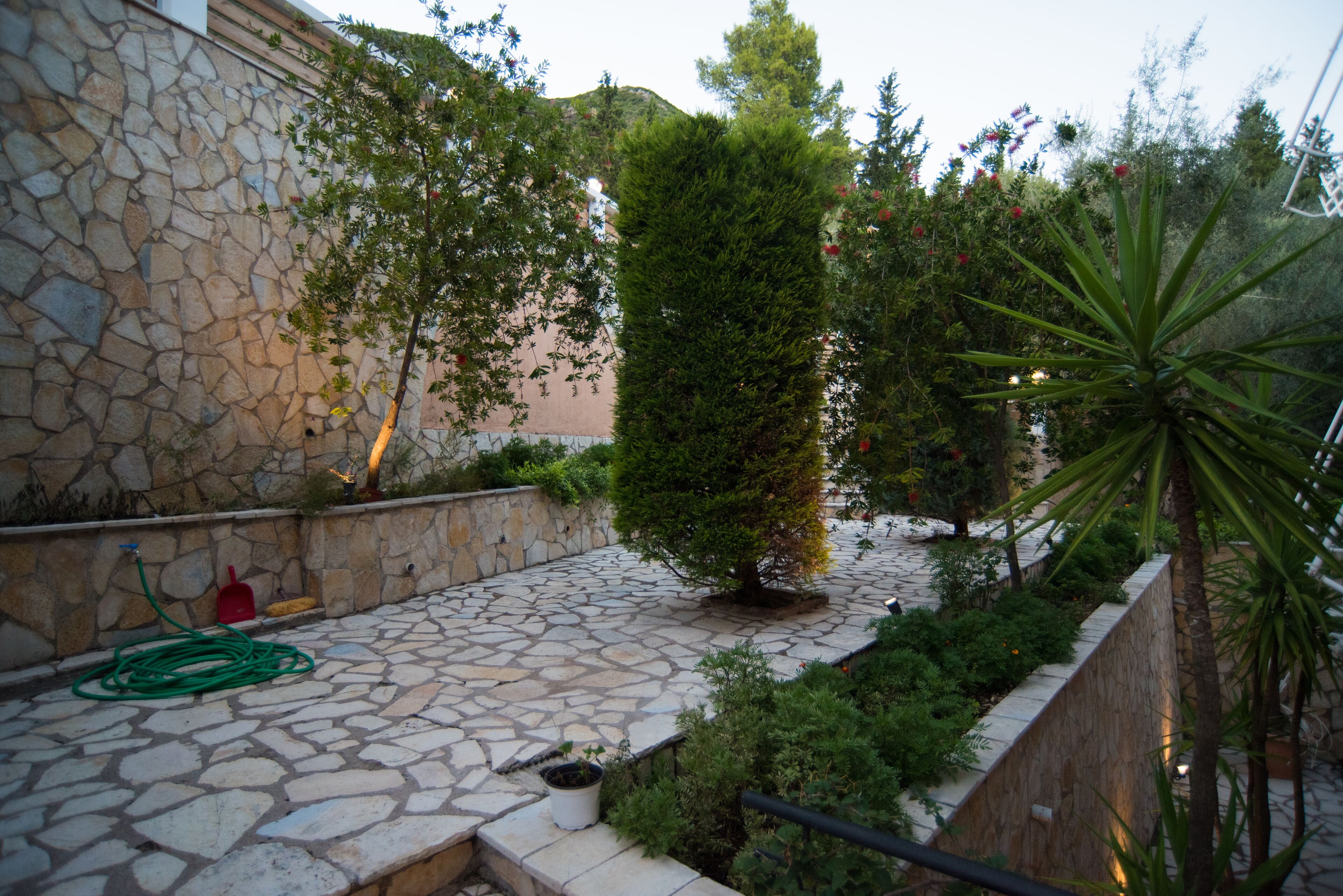 A stone-paved courtyard with a small tree, a red shovel, and a green hose.
