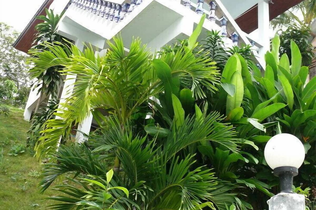 Bungalow, Garden View | Rollaway beds, free WiFi