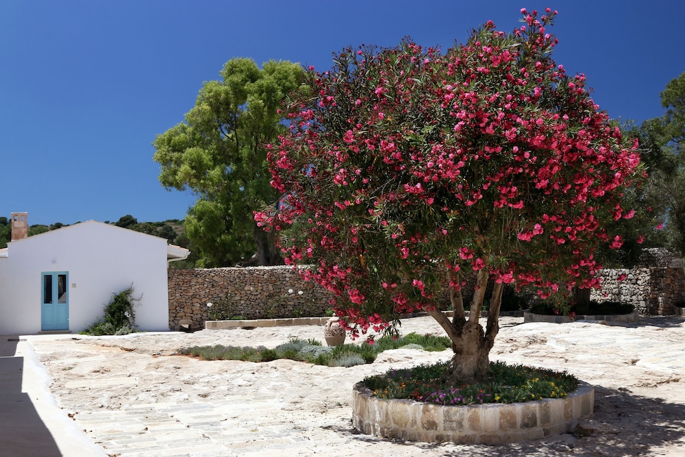 Antica Masseria del Fano by null