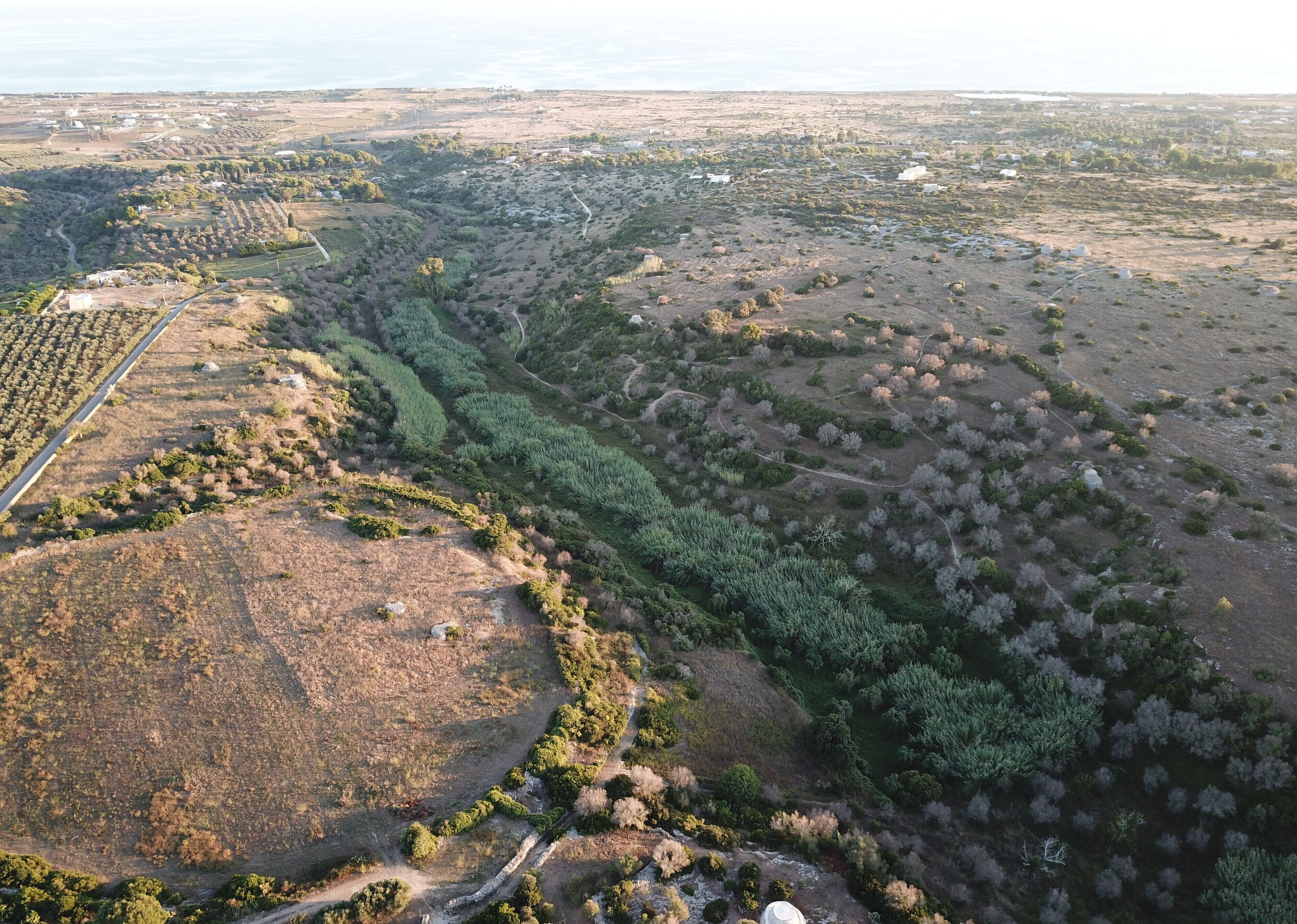 An aerial view of a rural landscape with fields, scattered trees, and a winding road.