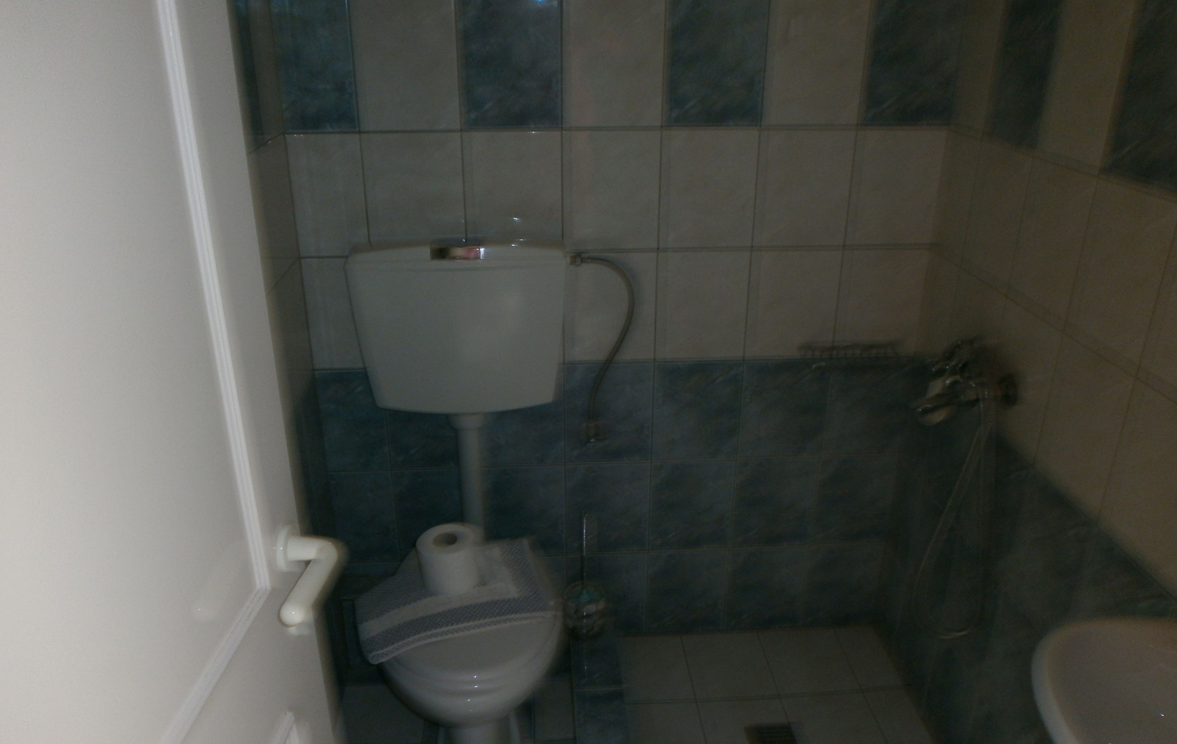 Une petite salle de bain avec des toilettes, un lavabo et une douche.