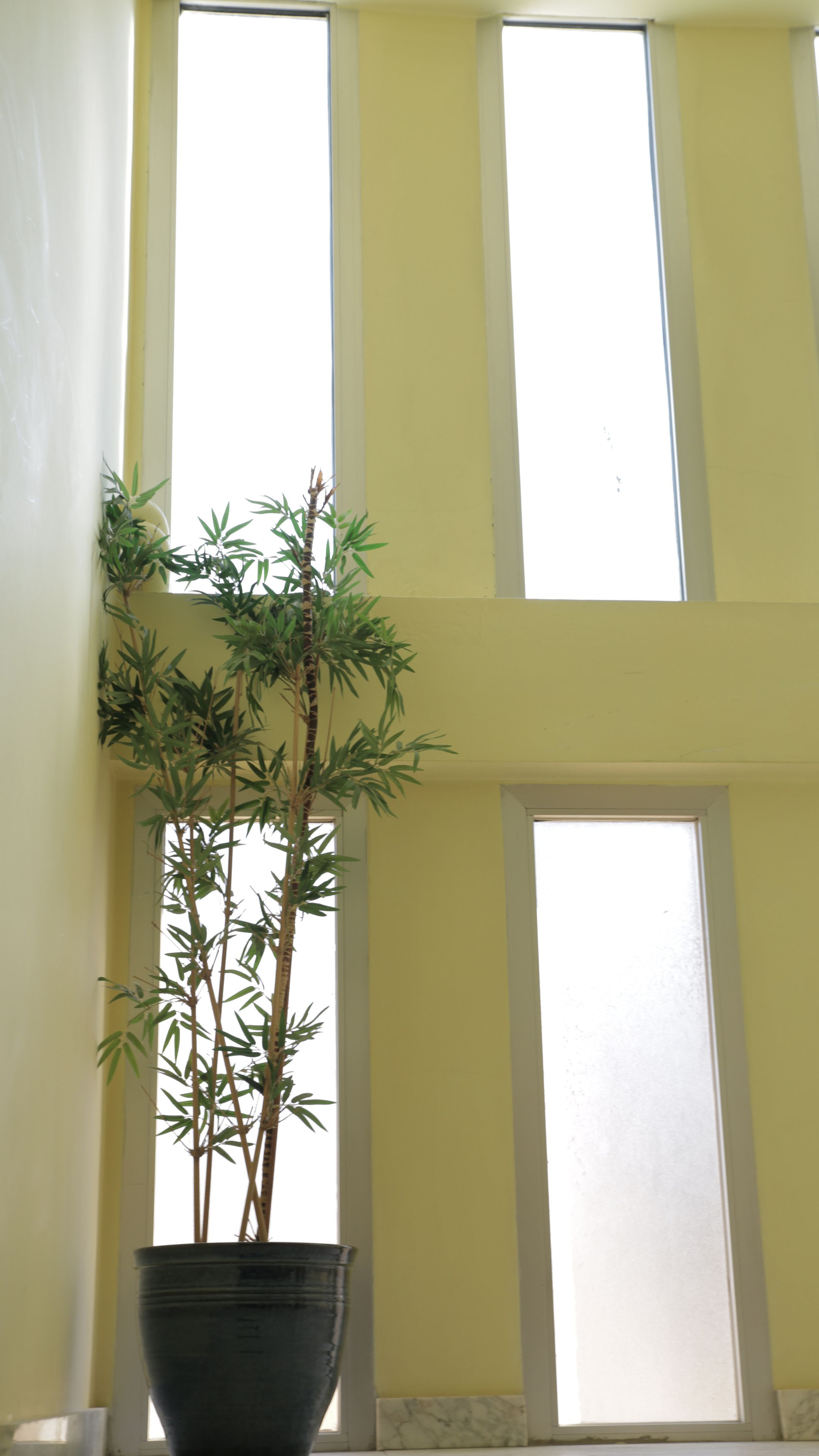 Foto - Hotel Alda Bueumar