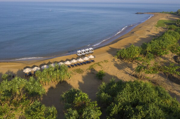 An aerial view of a beach with a row of white beach umbrellas and lounge chairs, surrounded by greenery.
