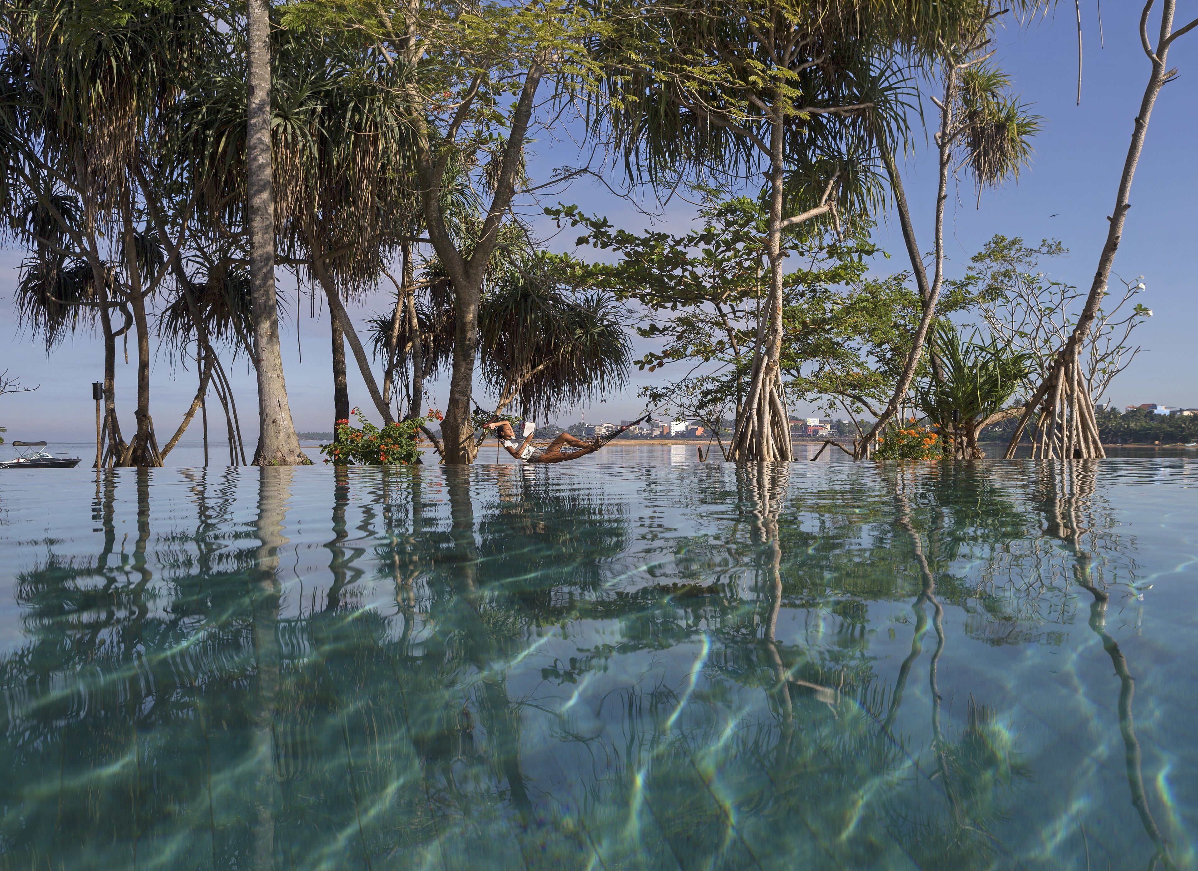 outdoor pool, pool umbrellas, pool loungers