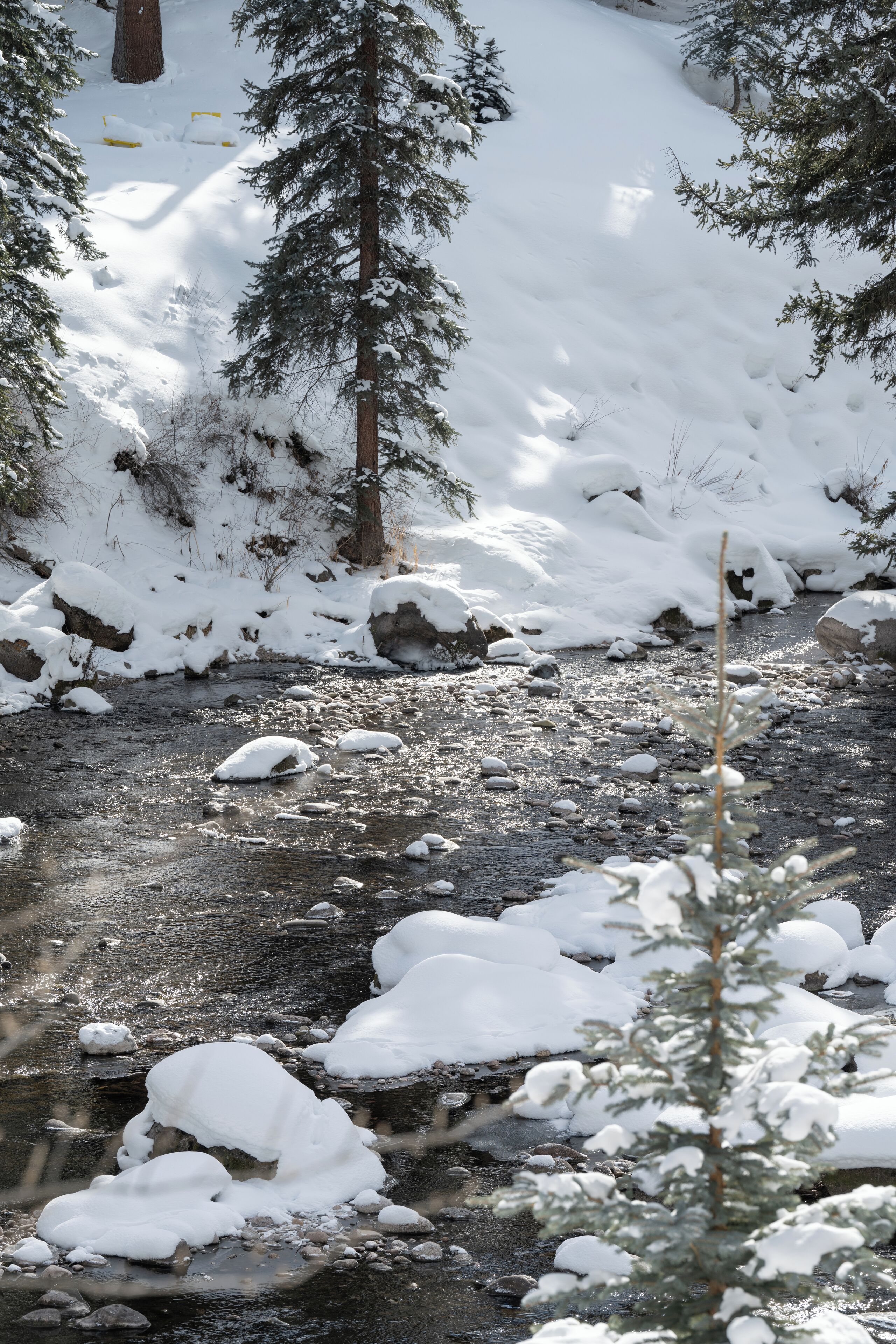 grand suite, accessible | view from room