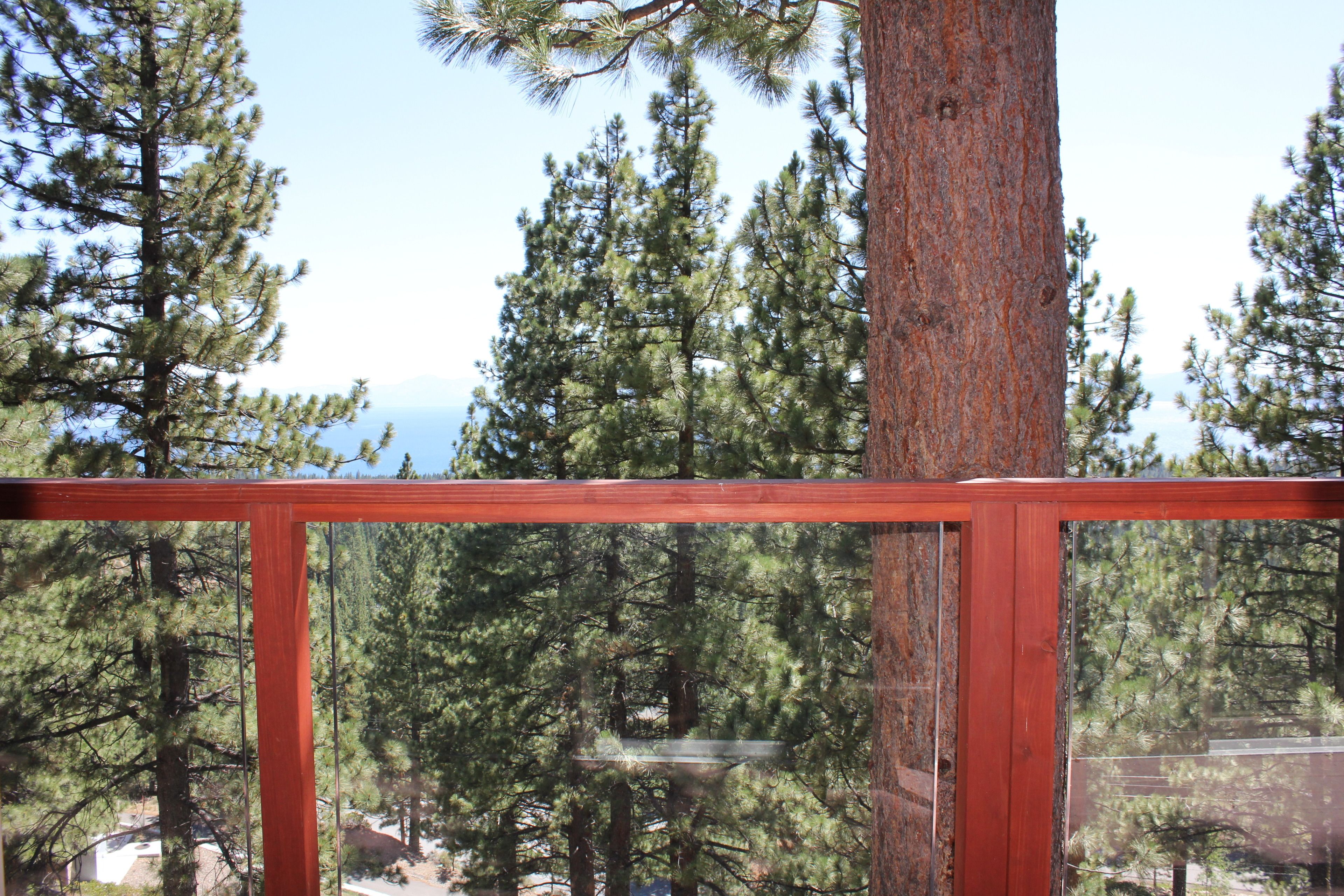 A view through a window with a wooden frame, overlooking a forested area with tall pine trees and a clear sky.