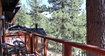 Tahoe Chaparral
