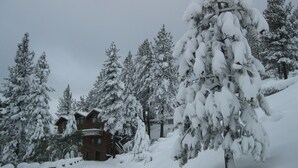 Un rifugio coperto di neve con facciata in legno e numerose finestre, circondato da alberi alti carichi di neve.