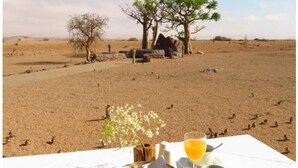 A table set with breakfast including eggs, toast, and fruit, with a view of a savanna landscape.