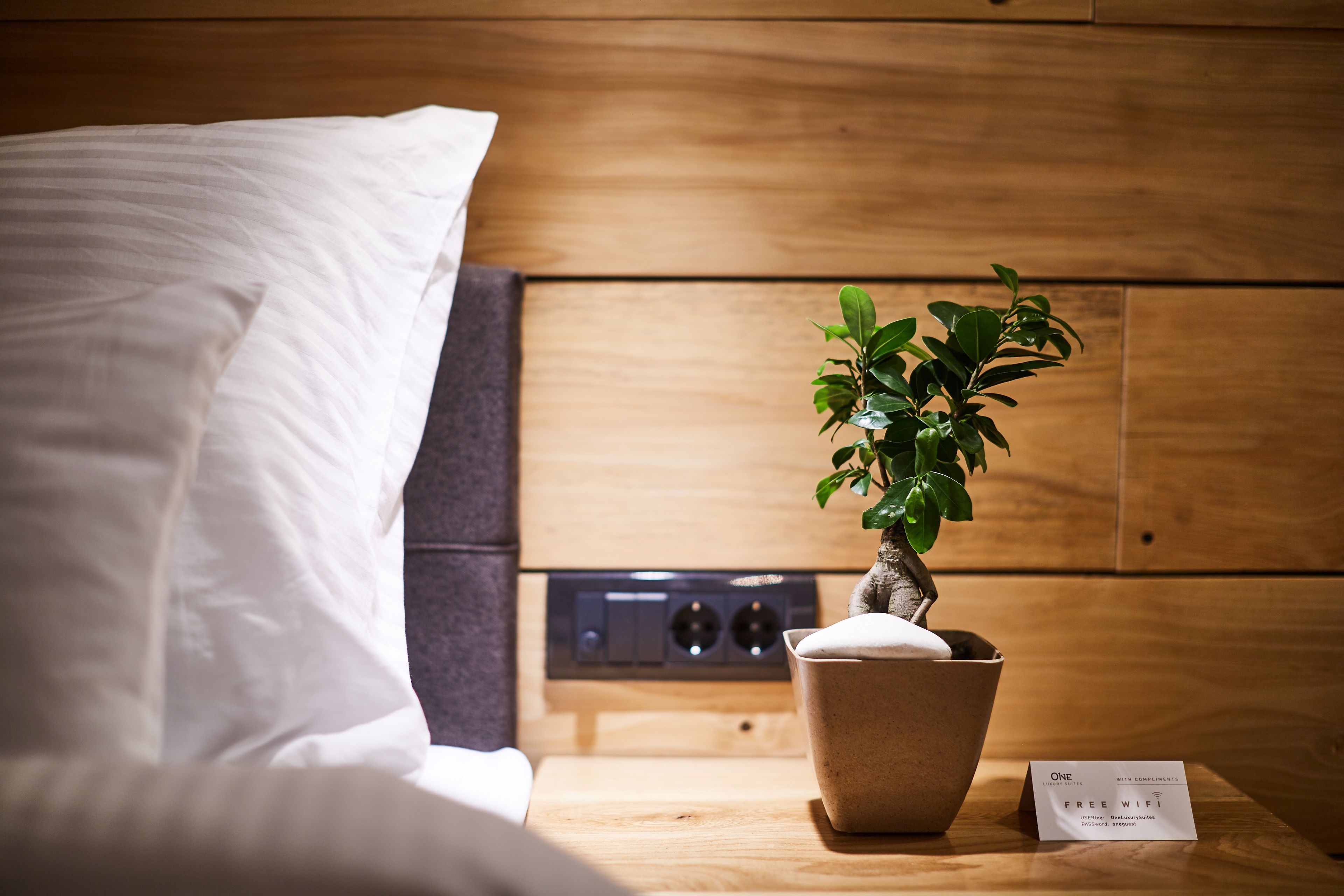 Photo - One Luxury Suites