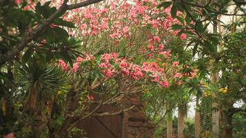 Un jardin luxuriant, où l’on trouve une grande variété d’arbres et de plantes à fleurs.