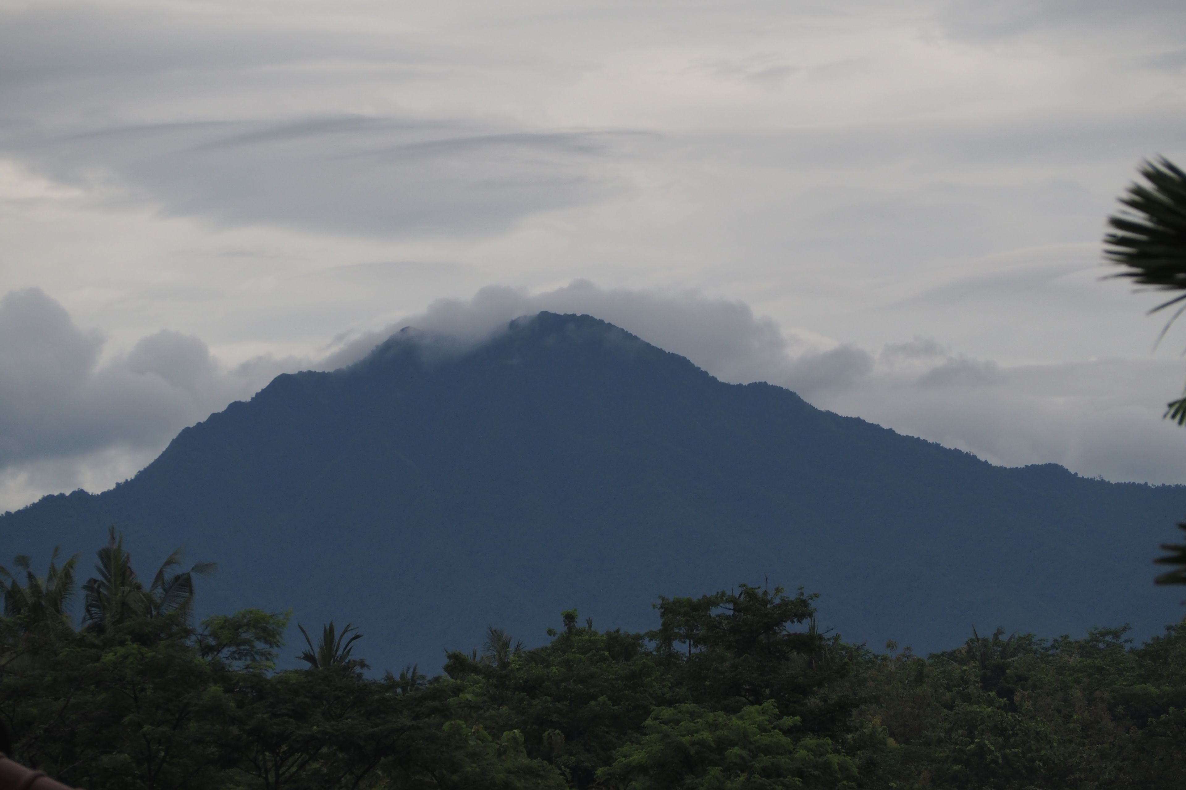 Ein Berg mit Wolken auf der Spitze, umgeben von dichtem Wald.