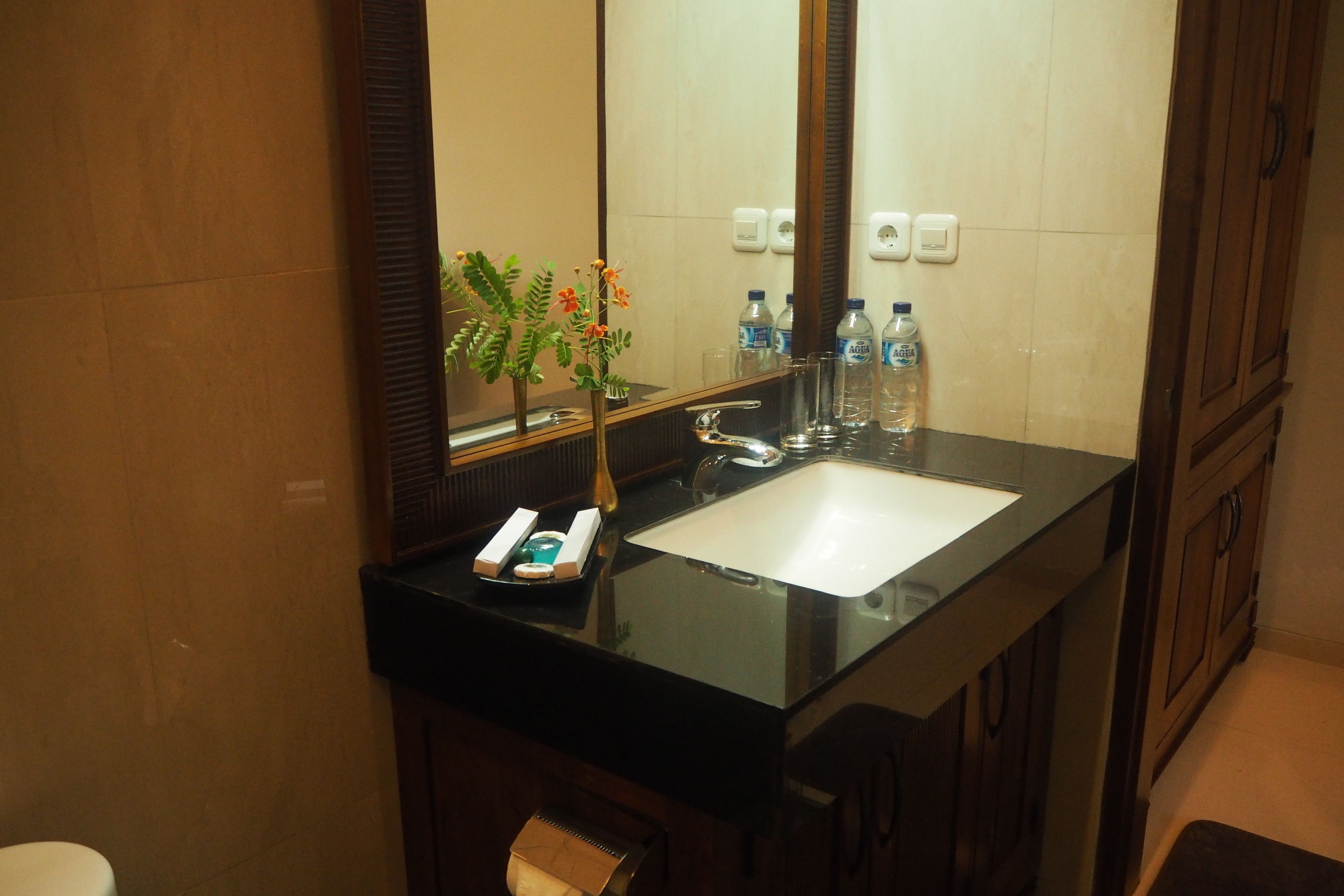 deluxe twin room, garden view | bathroom sink
