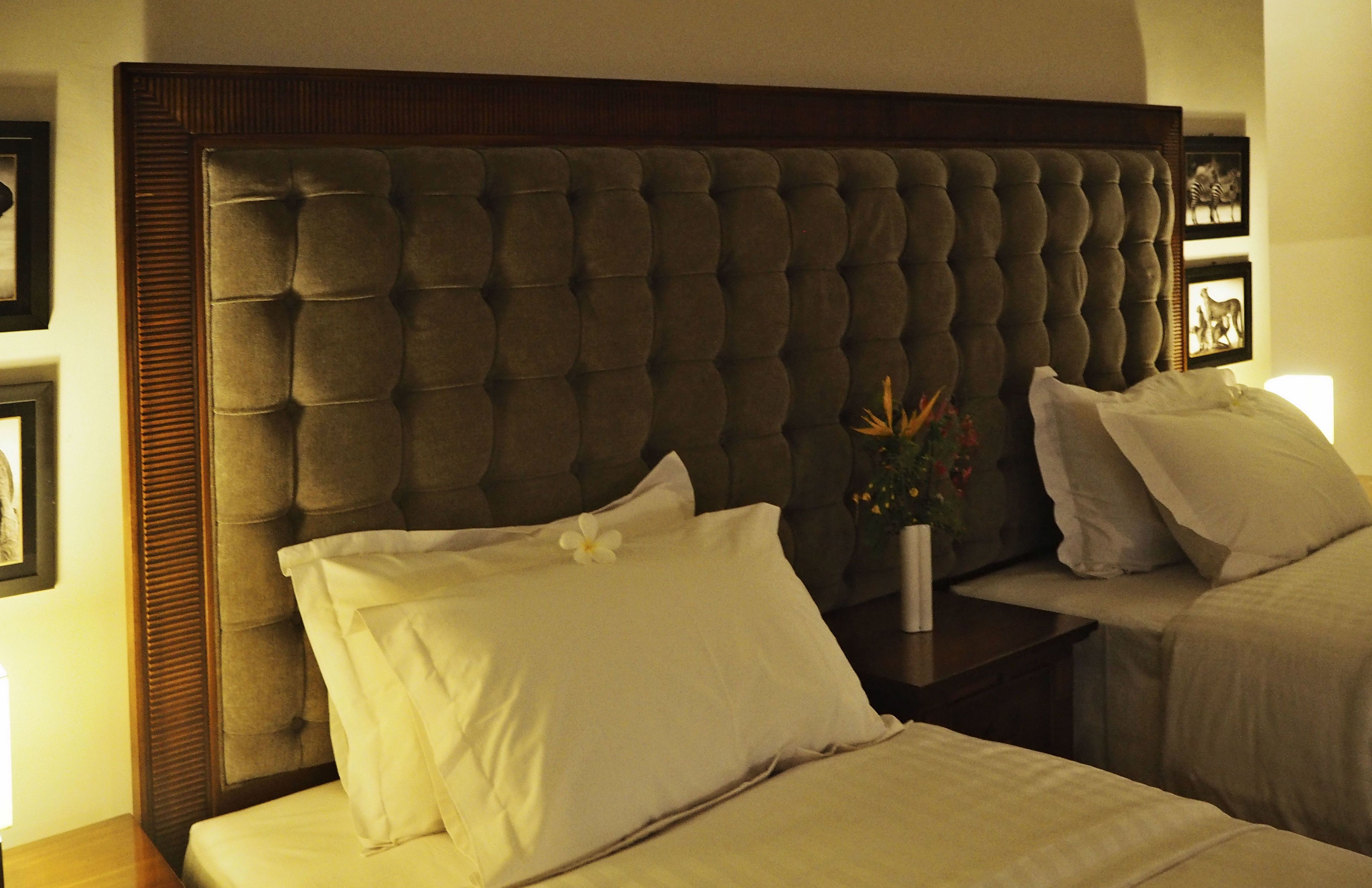 deluxe twin room, garden view | view from room