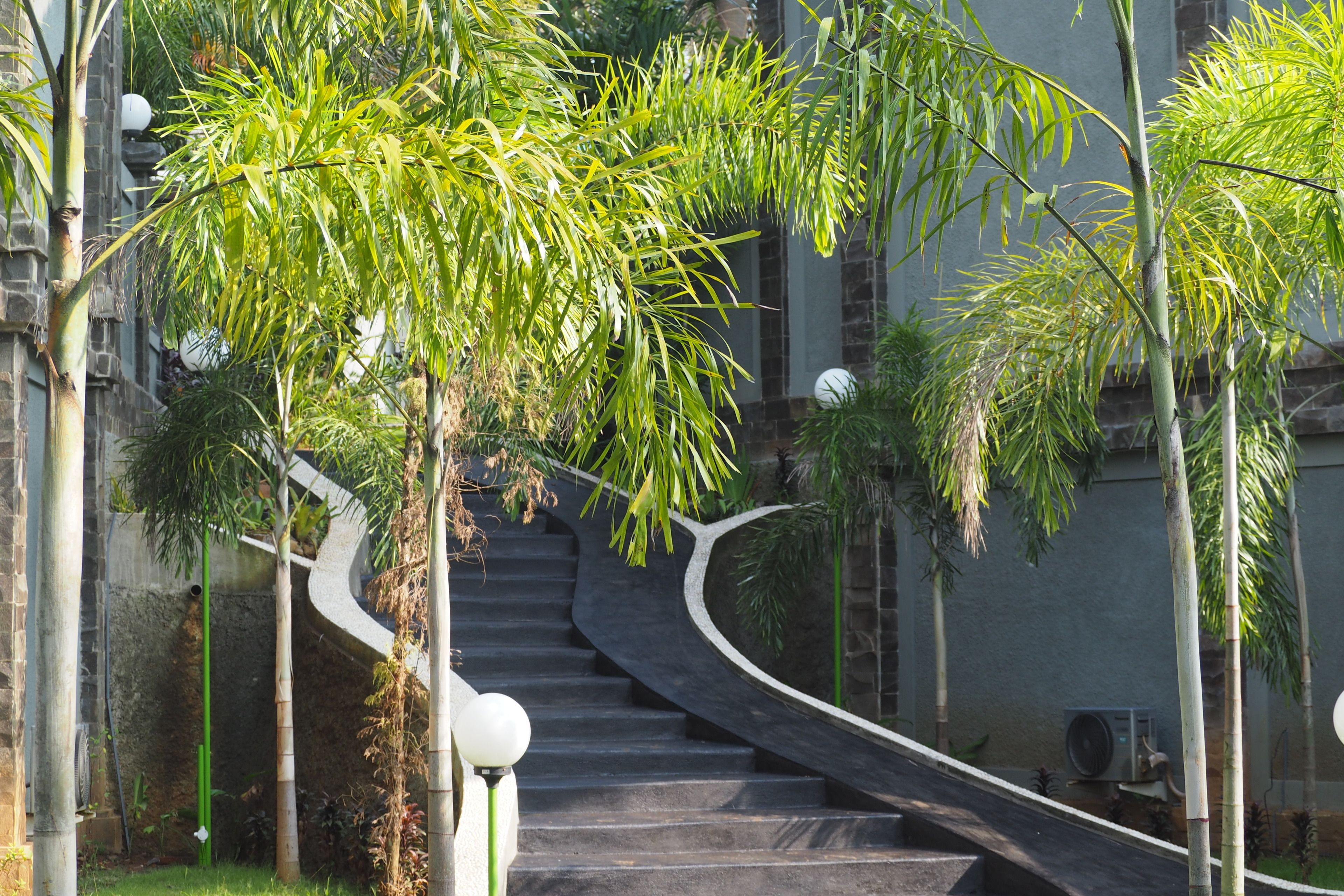 Jardines del alojamiento