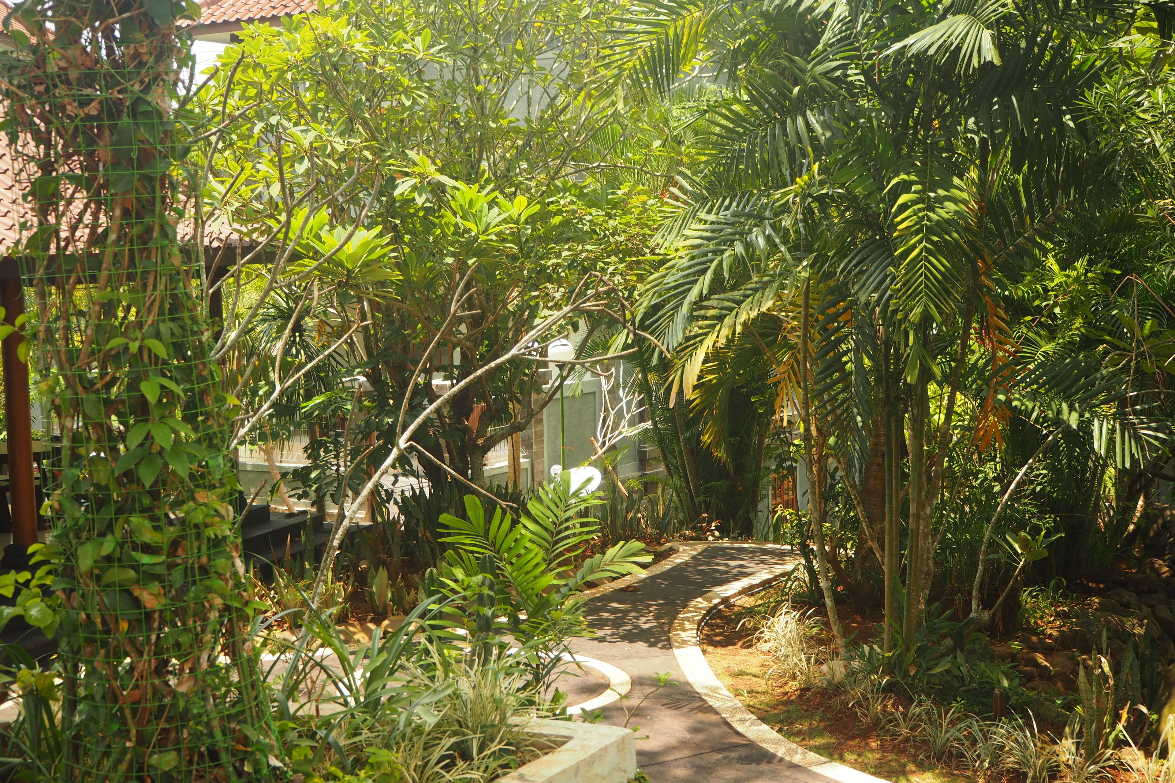 A pathway surrounded by lush greenery and a building with a tiled roof.
