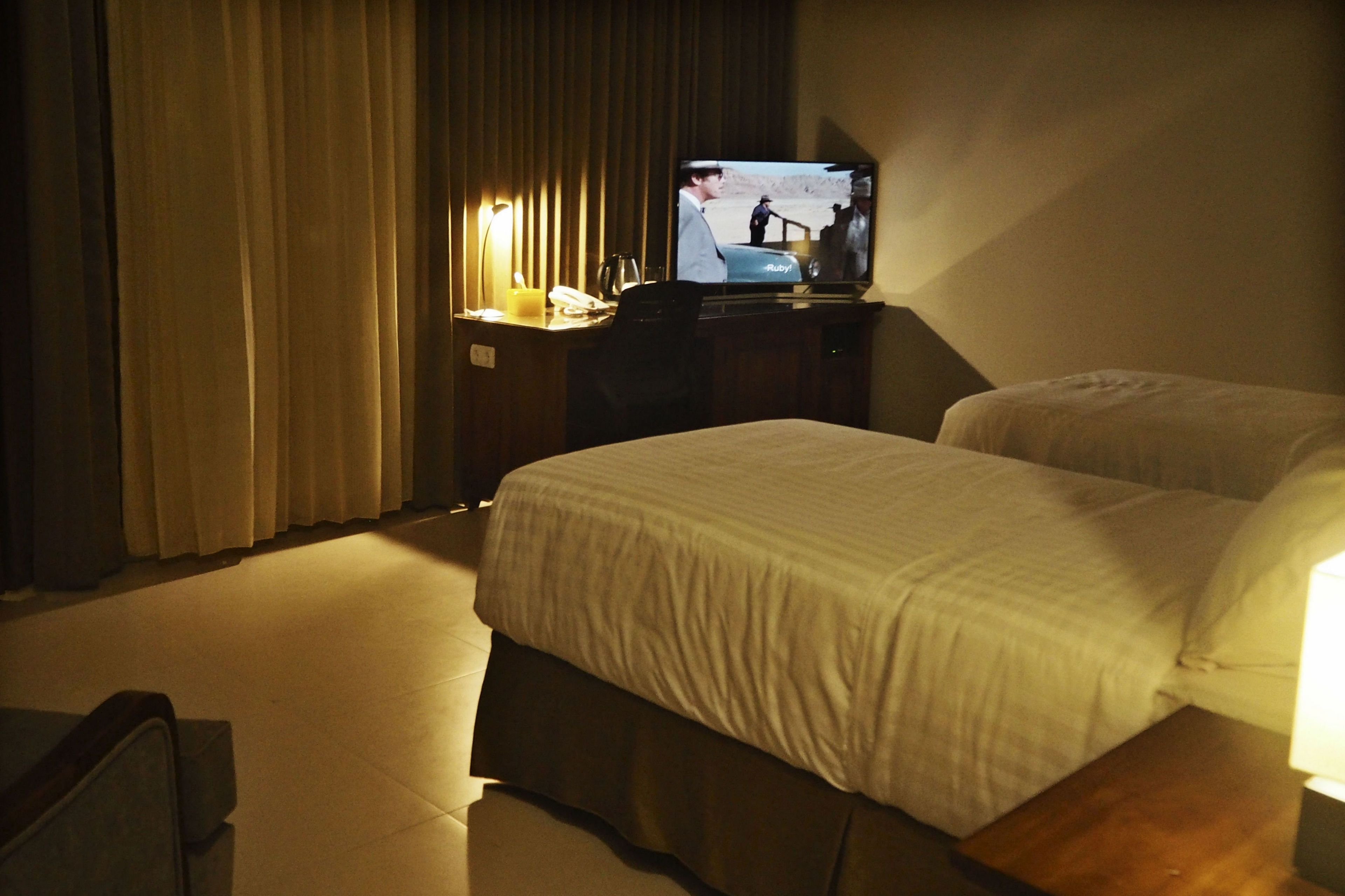 deluxe twin room, garden view | view from room