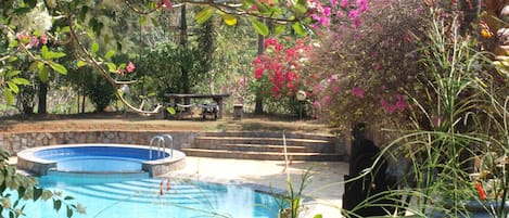 Piscine extérieure, parasols de plage, chaises longues