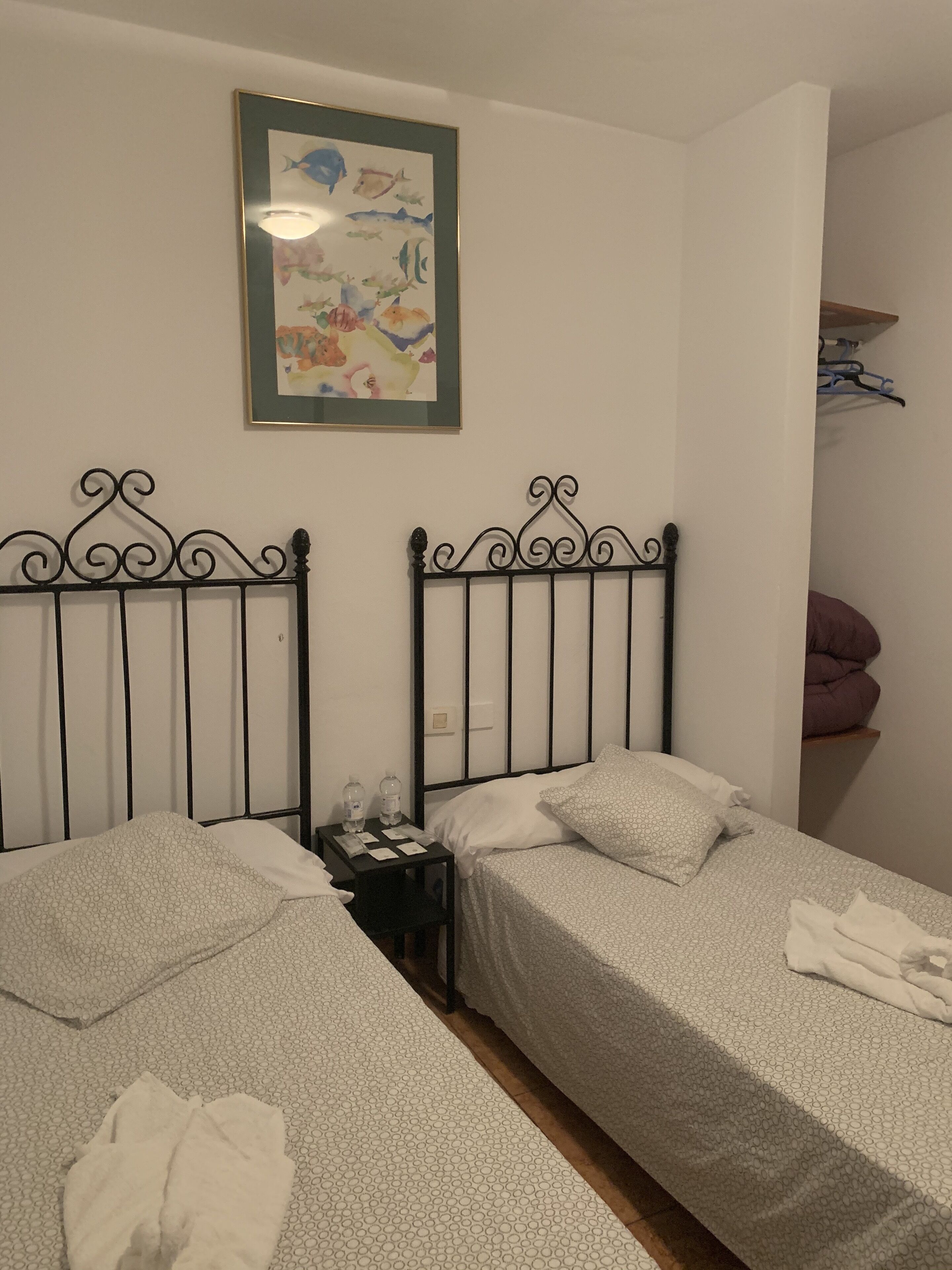A twin room with two beds, a nightstand with a lamp, a framed picture on the wall, and a closet with clothes.