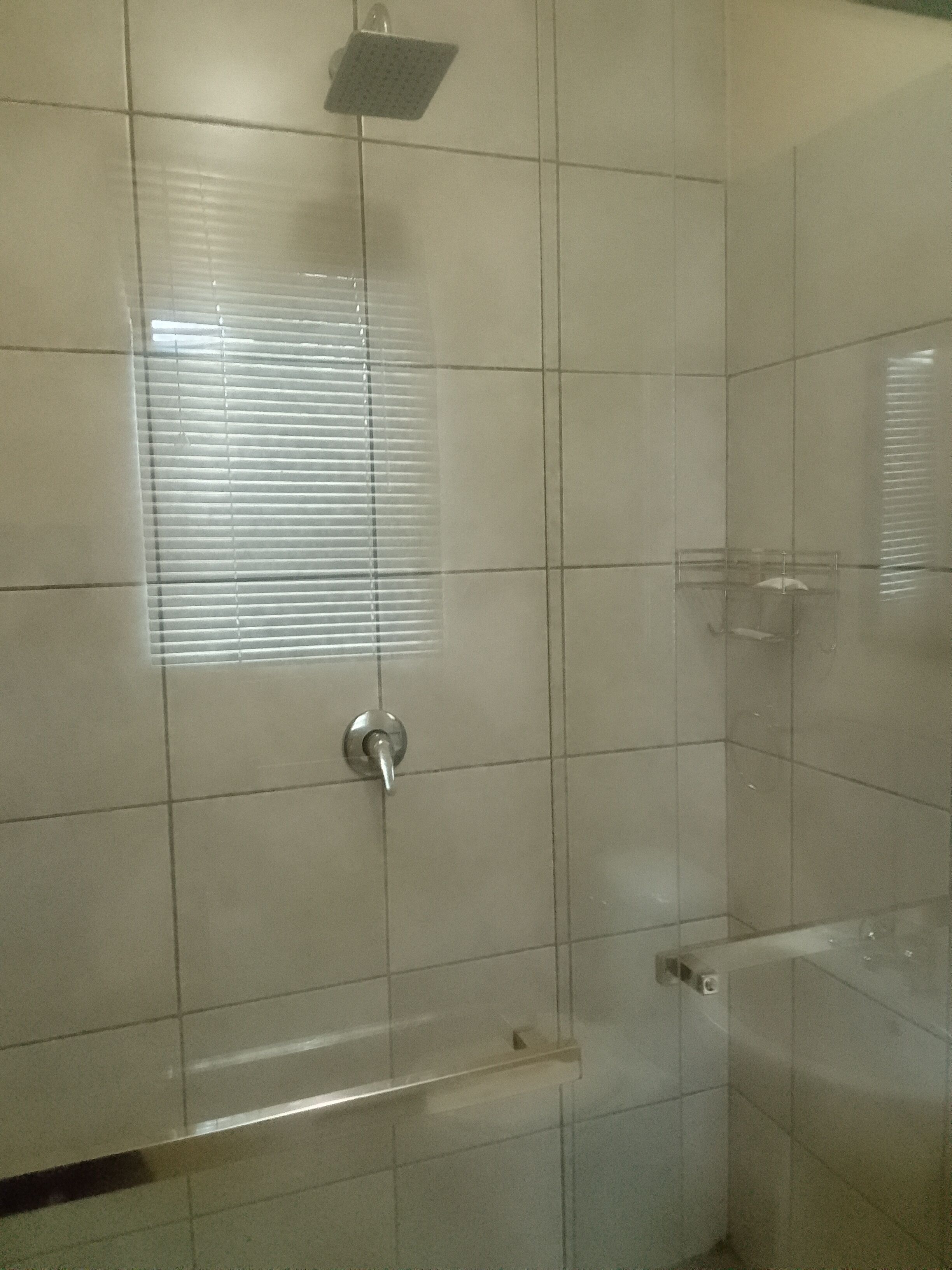 A shower area with a glass door, a showerhead, and a small shelf.