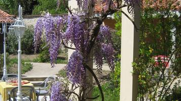 A garden with purple wisteria vines climbing a pergola. There are outdoor tables and chairs, and a building with a tiled roof in the background.