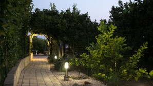 Een verhard pad dat door een tuin slingert, met bomen en verlichte palen.