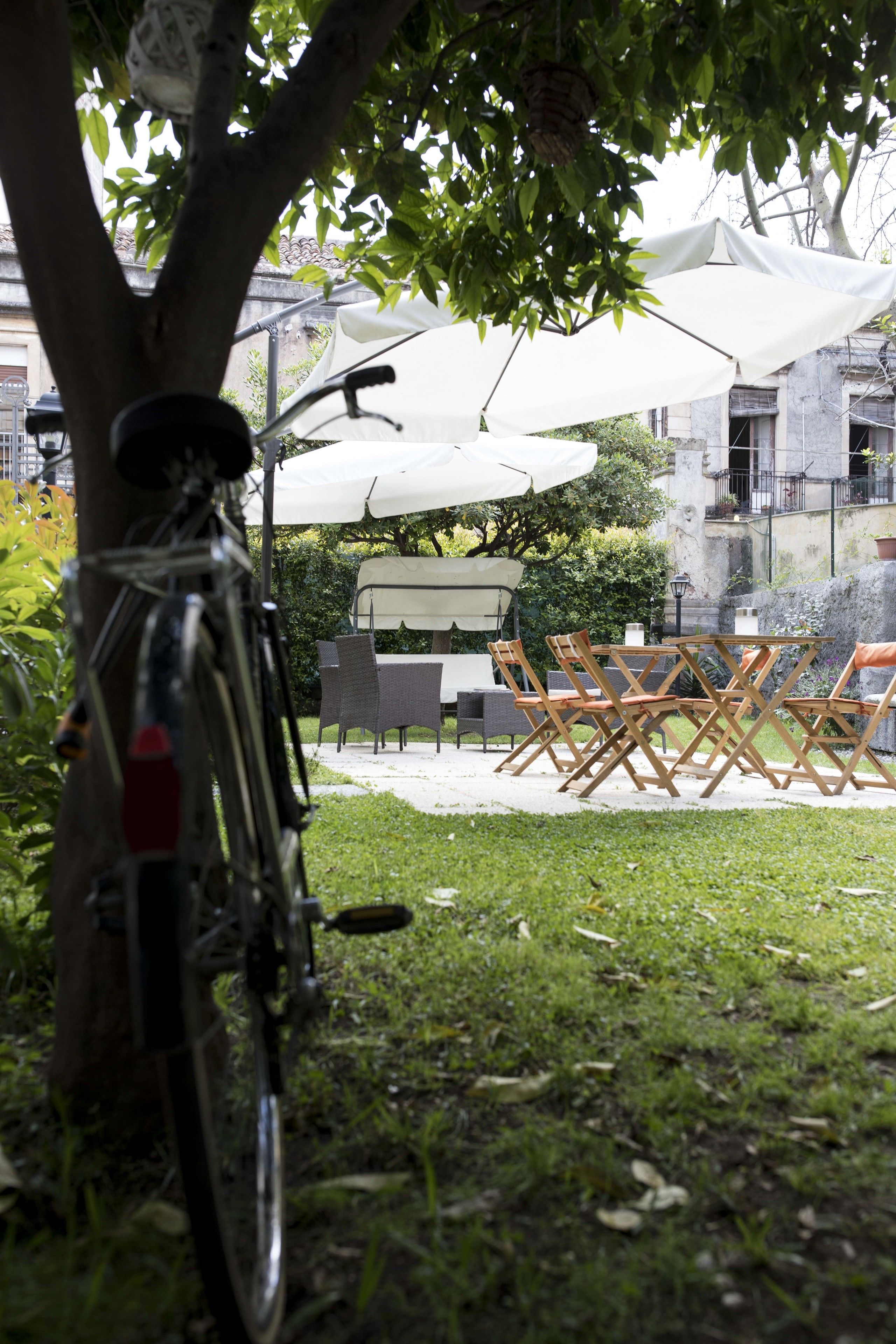 A bicycle parked under a tree, a white umbrella, and outdoor furniture in a courtyard.