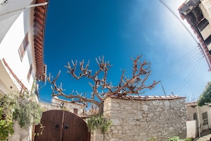 Traditional House, 2 Bedrooms | View from room