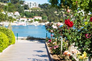 Jardín