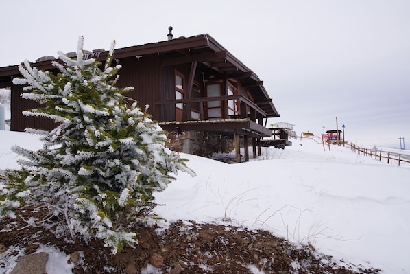 Family Bungalow | Street view
