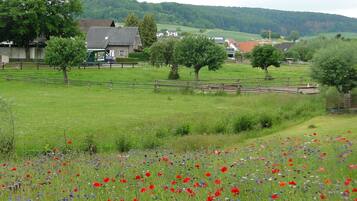 A rural landscape with a field of poppies and a few houses in the background.