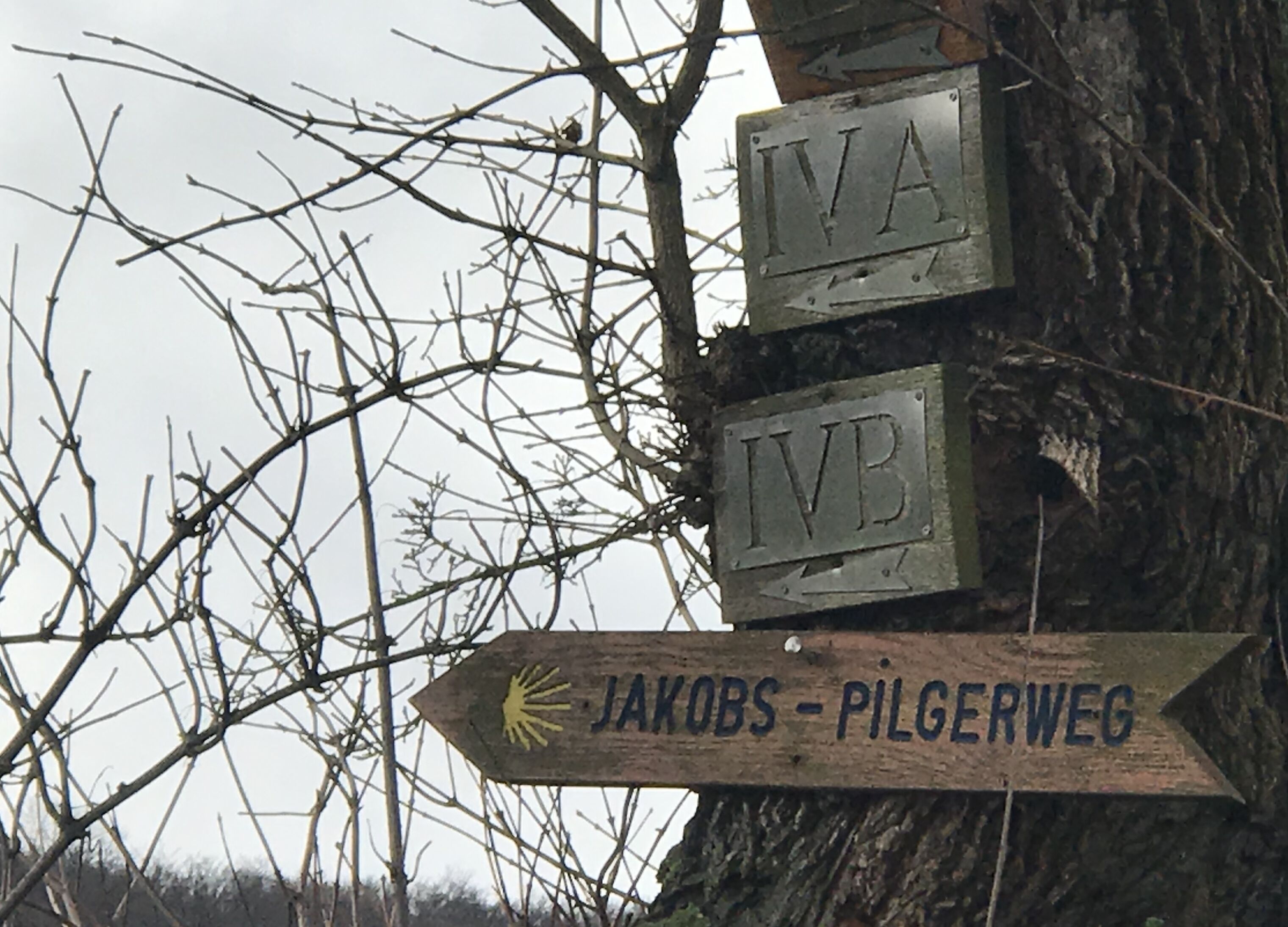 A wooden signpost with directional arrows and text indicating routes to 'JAKOBS - PILGERWEG'.