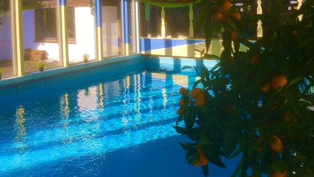 En indendørs swimmingpool med klart, blåt vand, omgivet af vinduer og potteplanter.