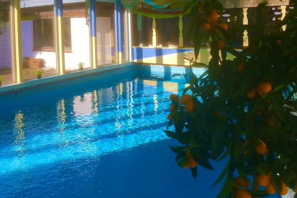 Indoor pool, pool umbrellas, sun loungers