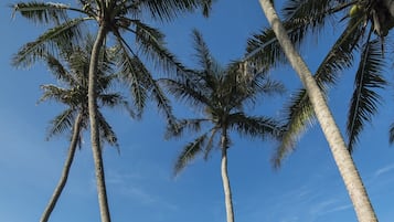 Beach nearby, black sand