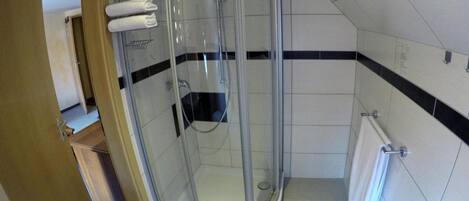 A glass-enclosed shower area with a towel rack and a toilet paper holder.