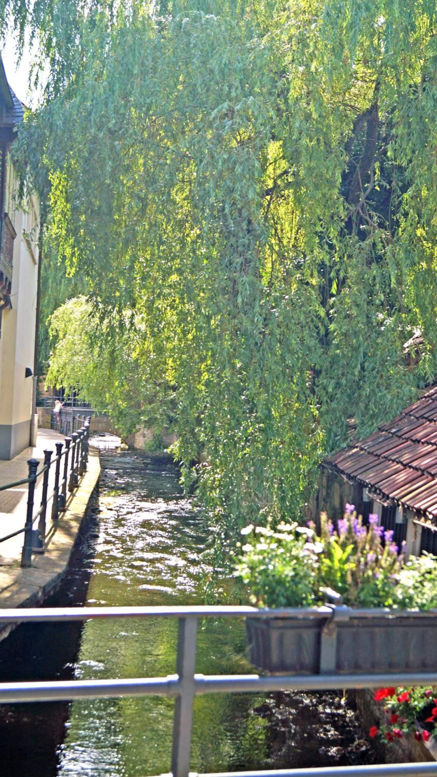 Foto - Hotel Kaiserhof Goslar