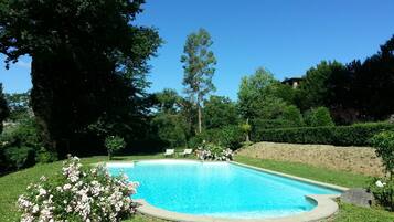 Outdoor pool, pool loungers