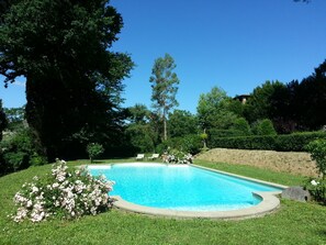 Outdoor pool, pool loungers