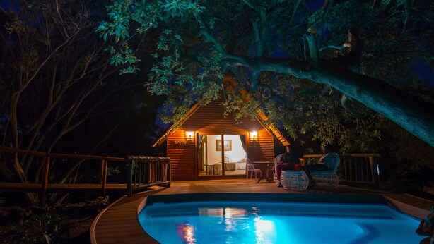 A wooden cabin with a pool, surrounded by trees and a deck.
