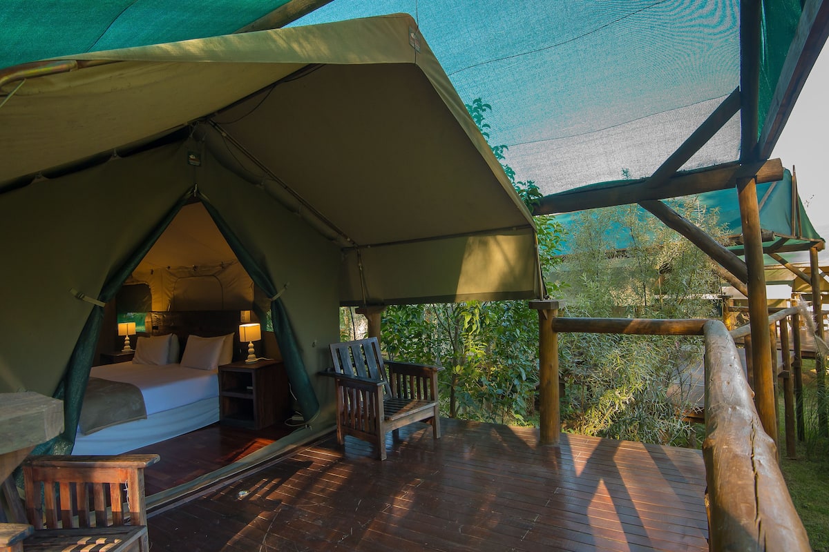 Safari Tent | 1 bedroom, WiFi (free), bed sheets