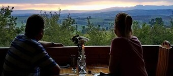 Sycamore Avenue Treehouses