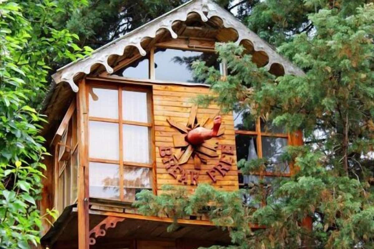 Une cabane en bois dotée d’un toit octogonal original et de grandes fenêtres, entourée d’un feuillage dense.